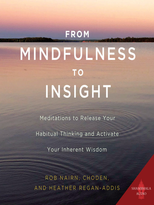 Title details for From Mindfulness to Insight by Rob Nairn - Available